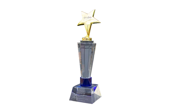 Aruba 2019 partner award trophy