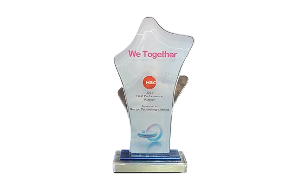 H3C We Together 2021 Best Performance Partner award